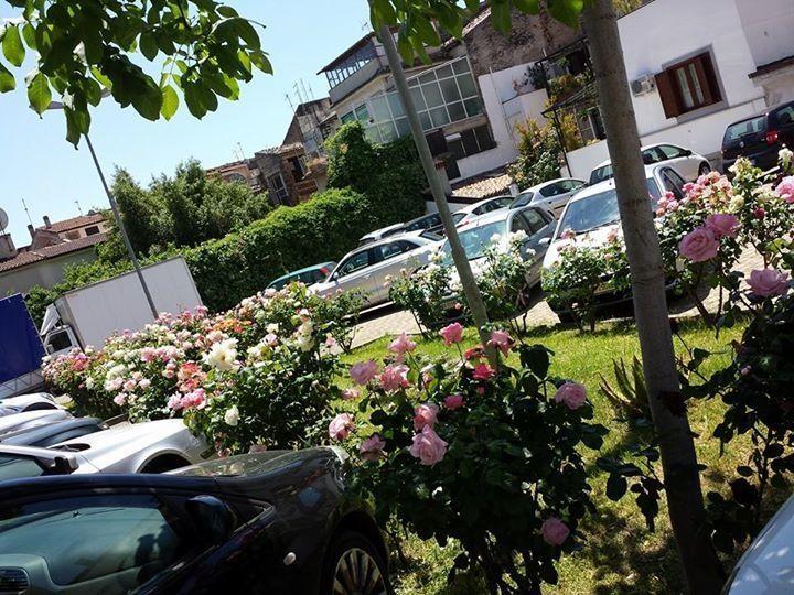 Hotel Jolly Castrovillari Bagian luar foto